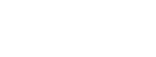 logo-flow